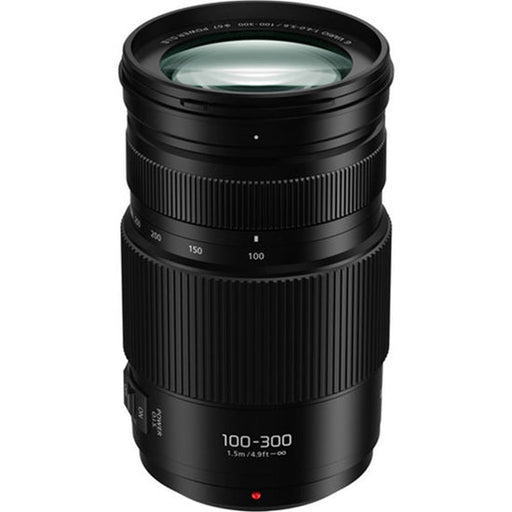 Panasonic Lumix G Vario 100-300mm f/4-5.6 II Lens - POWER O.I.S. Technology - Image 2