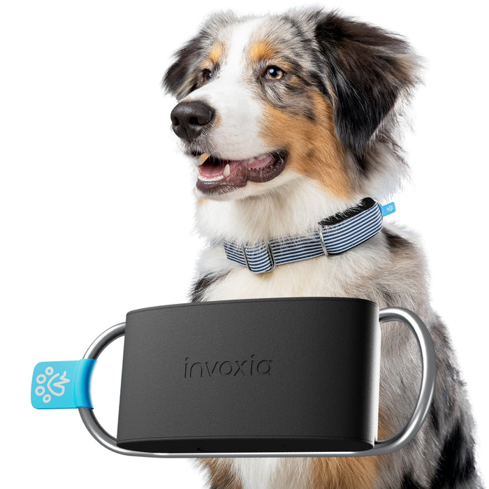 Invoxia Mini Tailz Heart Monitor Lwt6 (With 1 Year Subscription) - 1