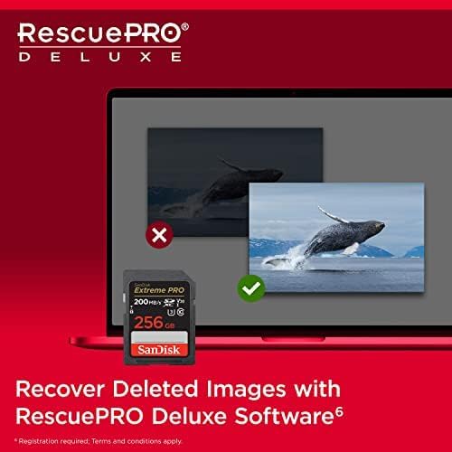 SanDisk Extreme Pro SDXC 256GB - High-Speed Memory Card for Professionals - Image 6