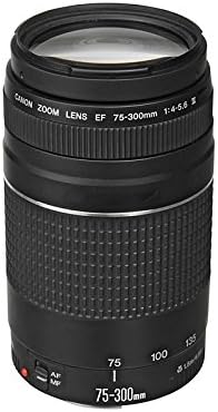 Canon EF 75-300mm f/4-5.6 III Lens - Versatile Telephoto Zoom Lens - Image 4