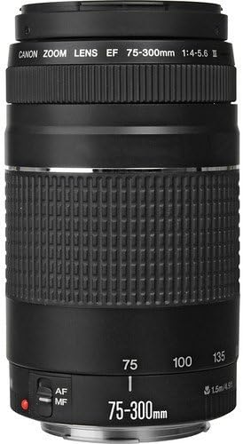 Canon EF 75-300mm f/4-5.6 III Lens - Versatile Telephoto Zoom Lens - Image 3
