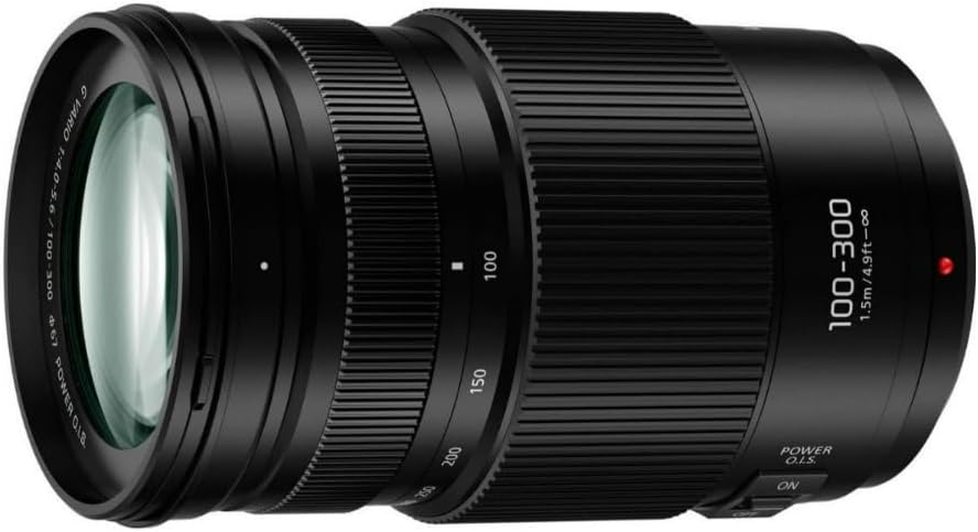 Panasonic Lumix G Vario 100-300mm f/4-5.6 II Lens - POWER O.I.S. Technology - Image 1
