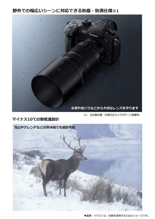 Panasonic Leica DG Vario-Elmarit 50-200mm f/2.8-4 ASPH. POWER O.I.S. Lens (HES50200) - 5