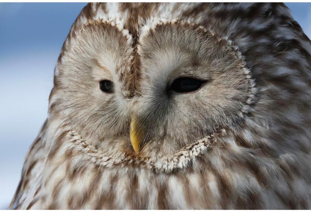 Canon EOS R7 Mirrorless Camera Kit - 18-150mm Lens Included - Image 9