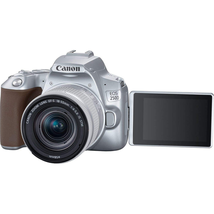 Canon EOS 250D Kit (EF-S 18-55mm STM) (Silver) - 5