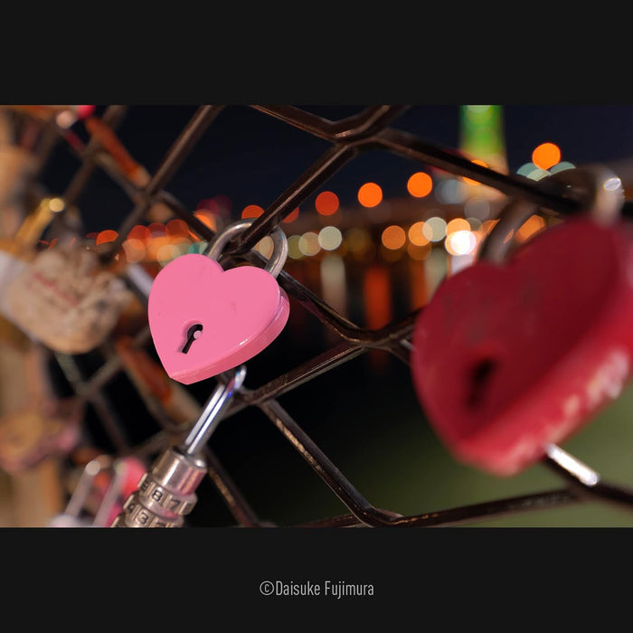 Panasonic Lumix 14-28mm F/4-5.6 Macro Lens - Versatile Leica L Mount - Image 6