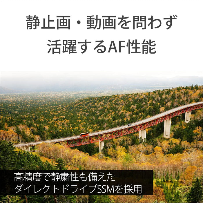Sony FE 16-35mm f/2.8 GM Lens (SEL1635GM) - 9