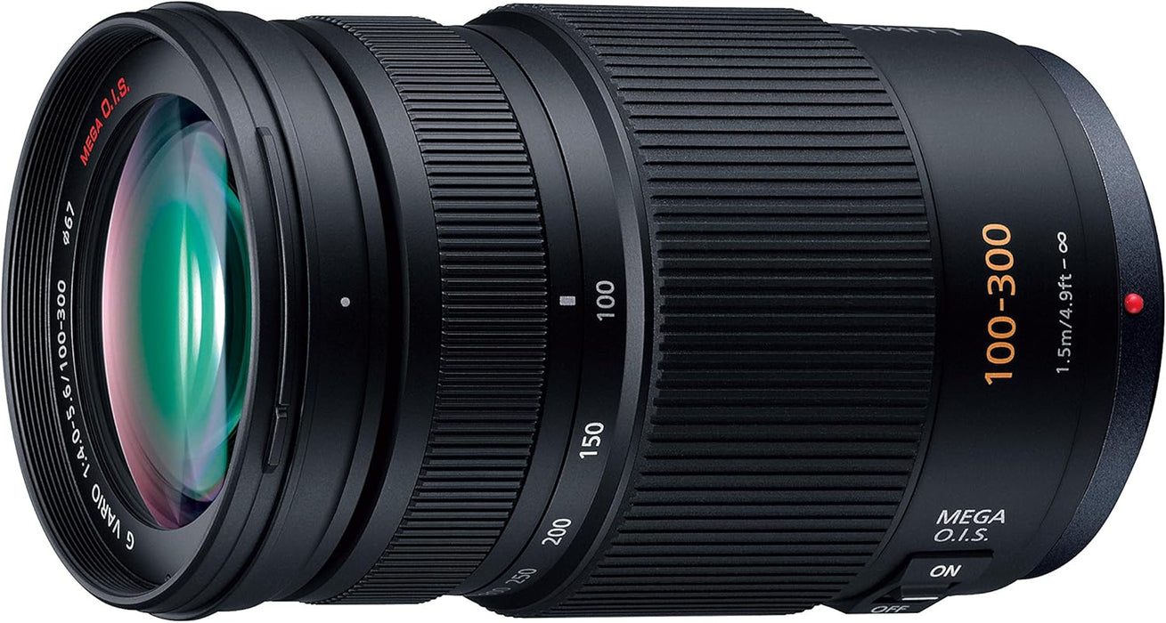 Panasonic Lumix G Vario 100-300mm f/4-5.6 II Lens - POWER O.I.S. Technology - Image 4