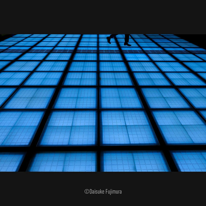 Panasonic Lumix 14-28mm F/4-5.6 Macro Lens - Versatile Leica L Mount - Image 7