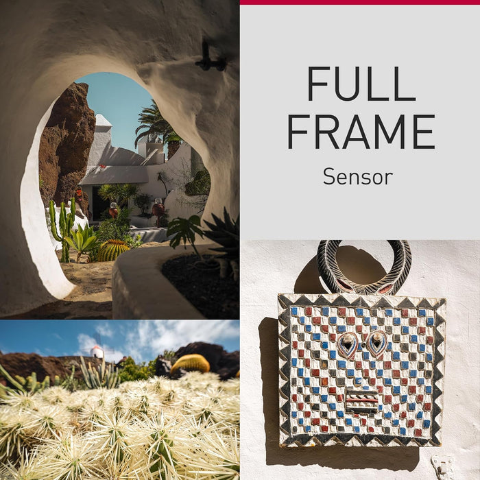 Panasonic Lumix DC-S9 Mirrorless Camera - 24MP Full-Frame with 4K Video - Image 10