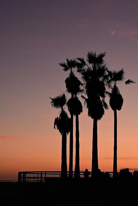 Nikon Z50 Twin Kit - Compact Mirrorless Camera with Dual Lenses - Image 6