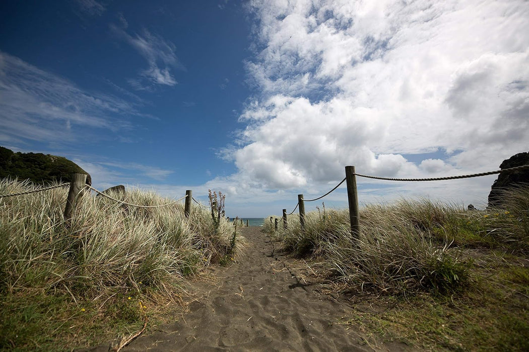 Sigma 14-24mm F2.8 DG DN Art Lens - Ultra-Wide Angle for Sony E-Mount - Image 6