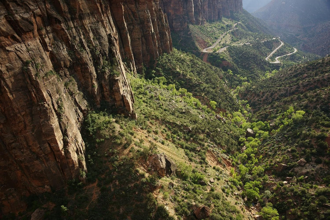 Sony Vario-Tessar T* FE 24-70mm F4 ZA OSS Lens - Versatile Zoom for Full-Frame Cameras - Image 5