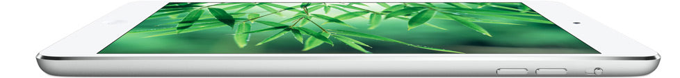 Apple Ipad Mini Me814ty/a 16gb Wifi 7.9" Silver - 5