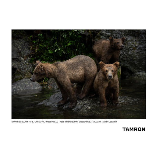 Tamron 150-500mm F/5-6.7 Di III VC VXD for Nikon Z Mount Mirrorless Cameras with VXD Autofocus (Black) - New