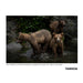 Tamron 150-500mm F/5-6.7 Di III VC VXD for Nikon Z Mount Mirrorless Cameras with VXD Autofocus (Black) - New