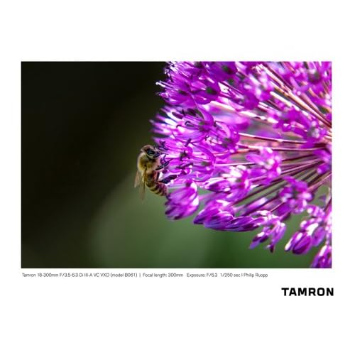 Tamron 18-300mm F/3.5-6.3 Di III-A VC VXD for Fujifilm X-Mount APS-C Mirrorless Camera Lens (B061X, Black) - New