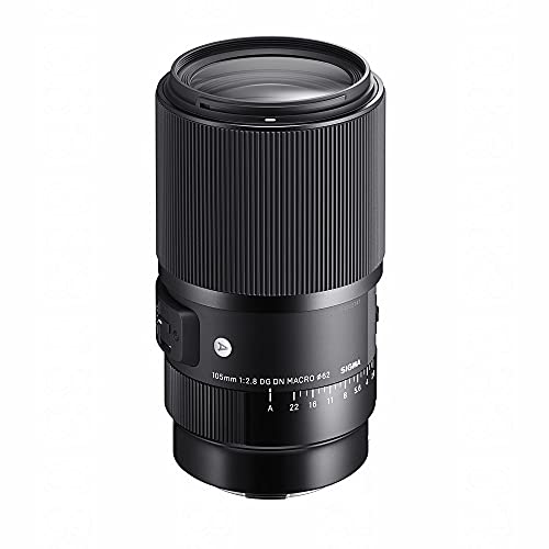 Sigma 105mm f/2.8 DG DN Macro Art Lens (Sony E) - 1