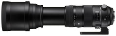 Sigma 150-600mm f/5-6.3 DG OS HSM Contemporary + TC-1401 (Nikon) - 3