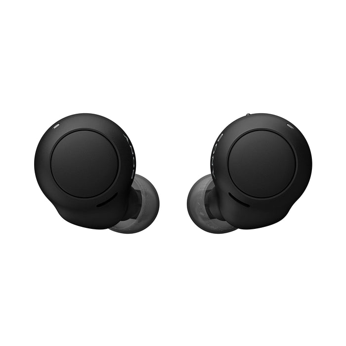 Sony WF-C500 Wireless Bluetooth Earbud with Mic and IPX4 Water Resistance - Black