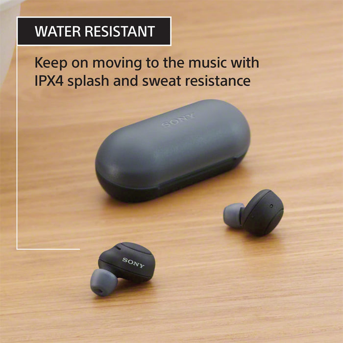 Sony WF-C500 Wireless Bluetooth Earbud with Mic and IPX4 Water Resistance - Black