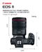 Canon EOS R5 with RF 24-105mm f/4L IS USM Lens Without R Adapter - 3
