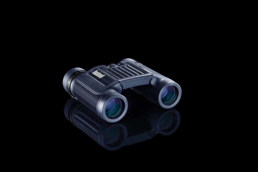 Bushnell H2O Compact Roof Prism Binocular, 10 x 25-mm - Grey