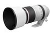 Canon RF 100-500mm f/4.5-7.1L IS USM Lens - 5